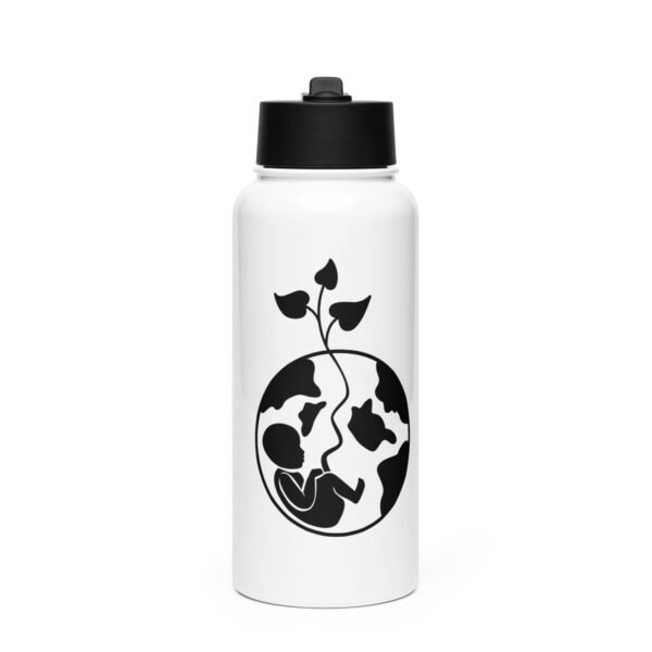 Stainless steel water bottle with a straw lid - Image 2